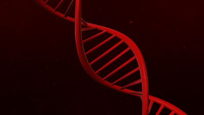 red DNA double helix on dark background red DNA double helix on dark background