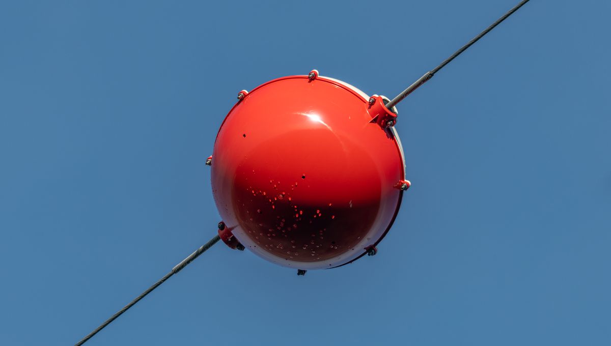 What Are Those Big Colorful Balls You See On Powerlines? IFLScience