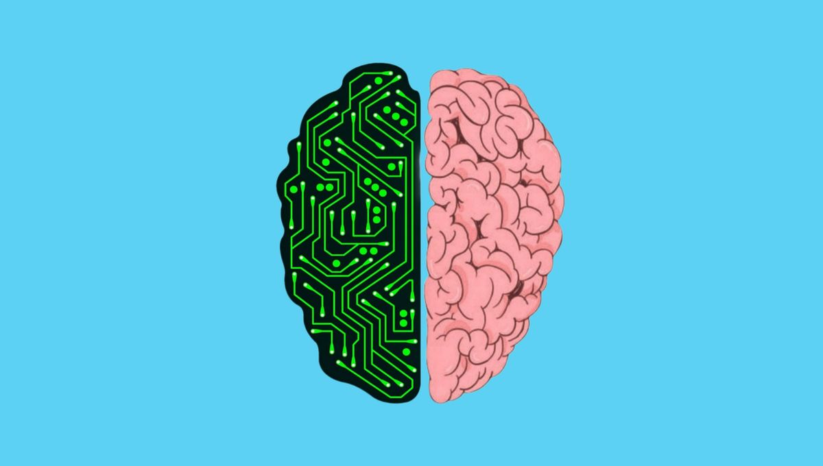 Why Splitting The Brain In Two Was A Key Milestone In Modern