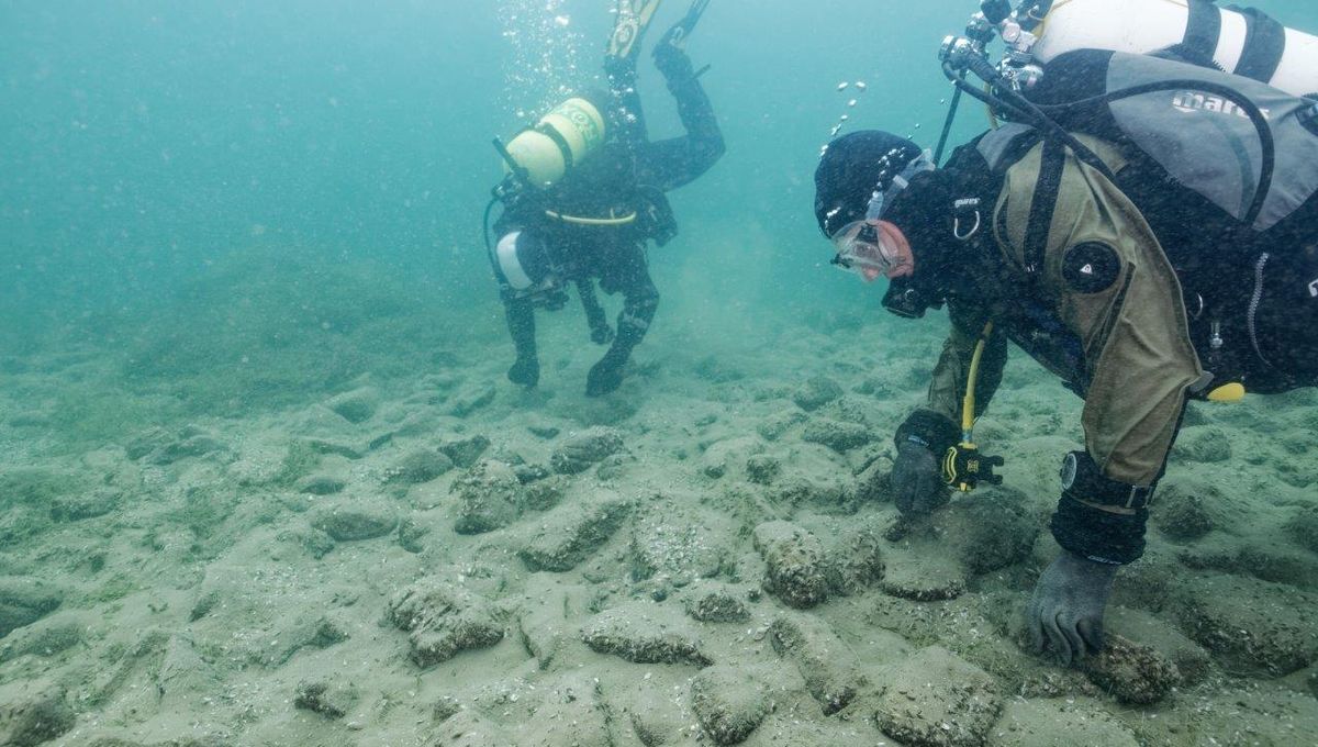 Extinct Genius Hominids: Were Boskops Really That Smart, If They