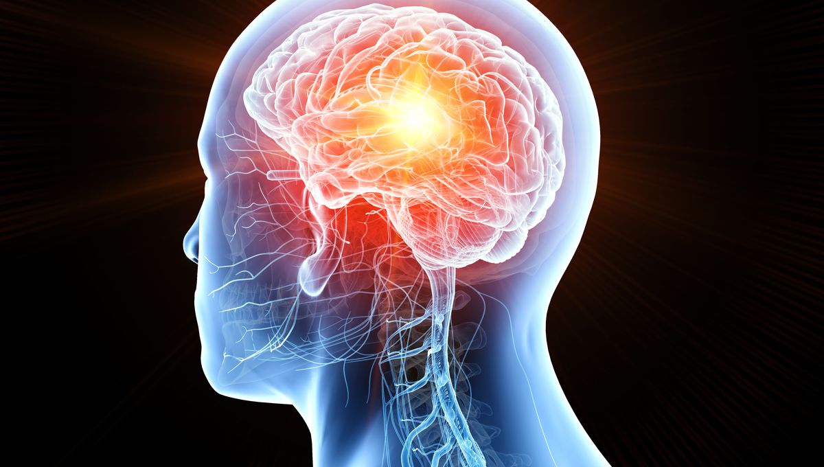 Cooling Brain Tumors Slows Their Growth And Improves Survival In Rats ...