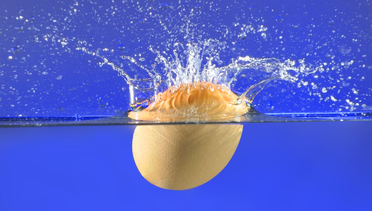 What Happens If You Crack An Egg Underwater? IFLScience