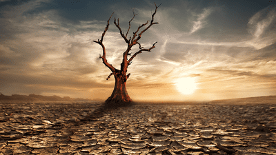 A dead tree alone in a dead landscape.