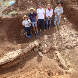 Rare 100-Million-Year-Old Plesiosaur Fossil Is "Rosetta Stone" Of Marine Reptiles | IFLScience