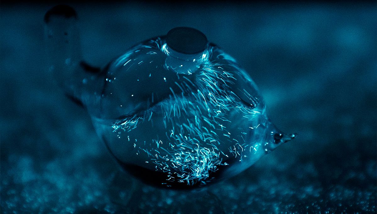 Spice Up Your Home Decor With These AllNatural Nightlights IFLScience