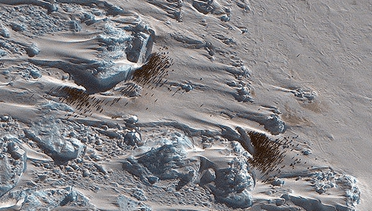 New Emperor Penguin Colony Spotted From Space Thanks To Their Poop ...