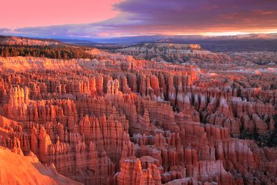 hoodoos in Bryce Canyon National Park, Utah