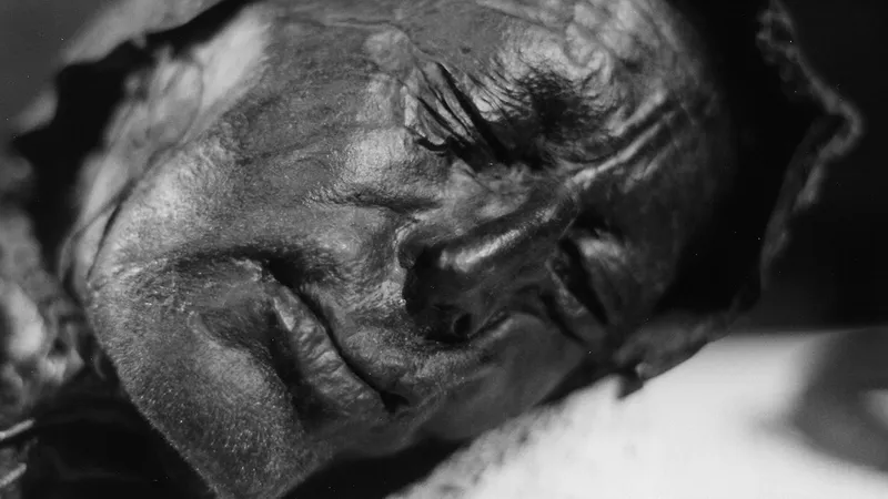 A well-preserved, leathery head of the "Tollund man" bog body.