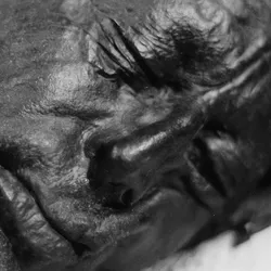 A well-preserved, leathery head of the "Tollund man" bog body.
