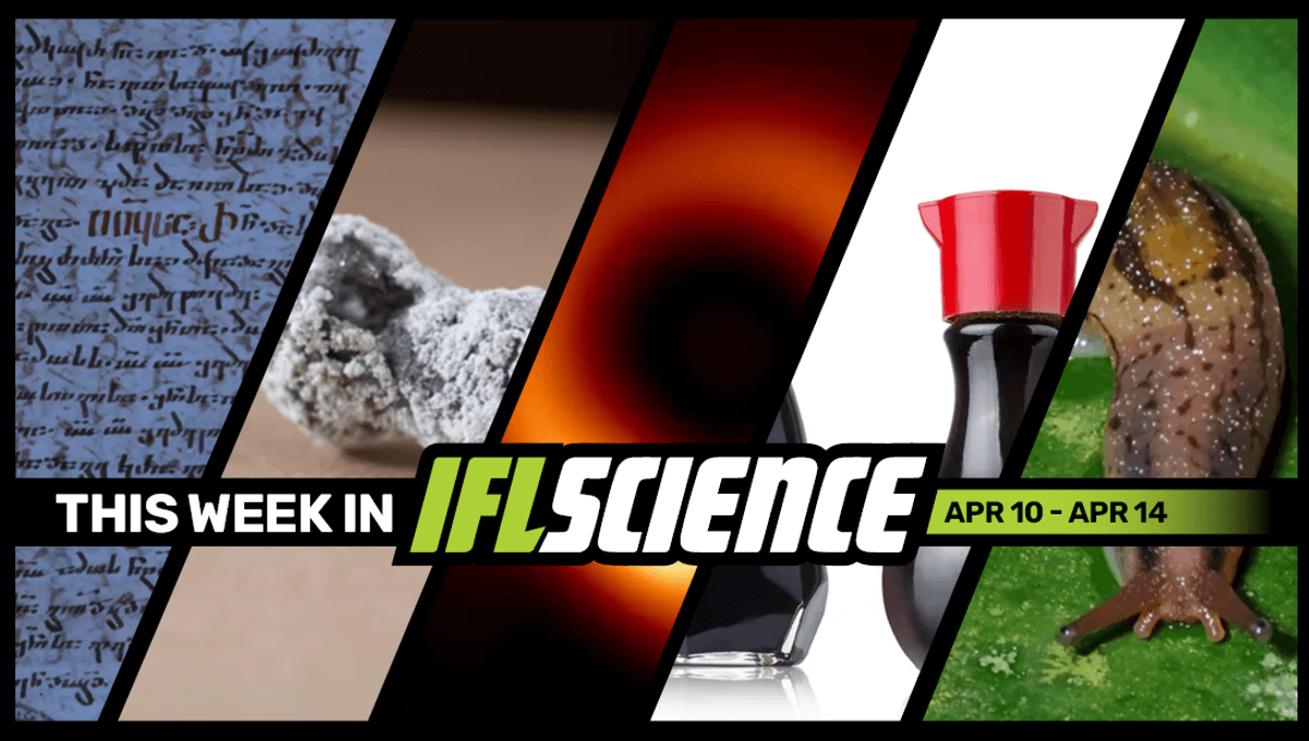 Twis 1 750 Year Old Text Reveals Hidden New Bible Chapter New Mineral Found In The Charred Remains Of A Lightning Struck Tree And Much More This Week