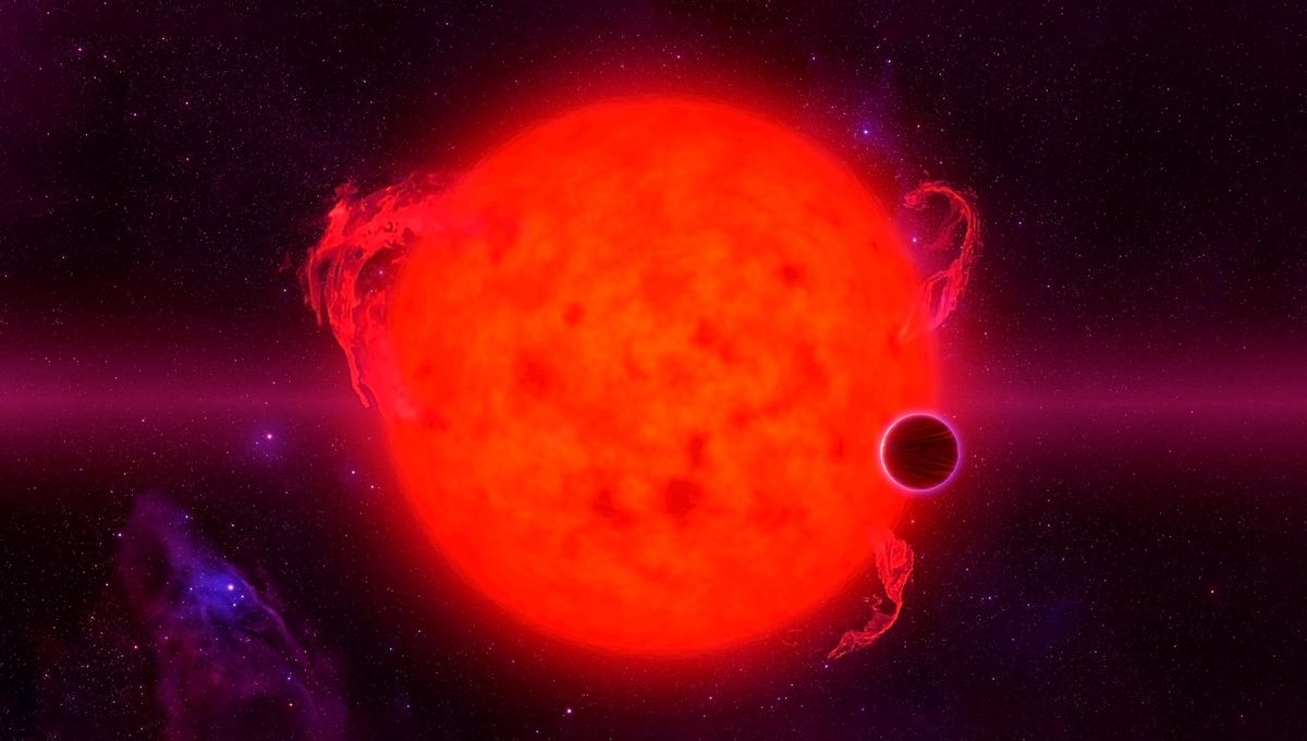 Shutterfly Will Start Deleting Photos From Inactive Accounts. Here's ...