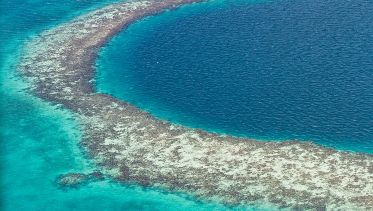 World's SecondDeepest Blue Hole Discovered Off Mexico's Coast
