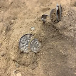 Coins found in the field