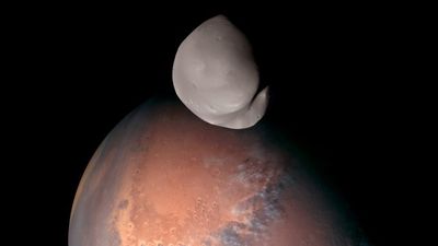 Mars half in shadow is seen in the background. Deimos is grey mostly visible with a few craters clearly seen in this image.