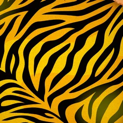 Some natural patterns don’t follow neat geometrical rules of repeating shapes but they are distinctive nonetheless. Image credit: © IFLScience 