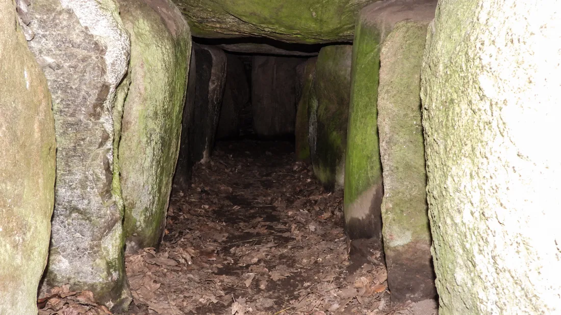 Plague Found In 4,900-Year-Old Tomb Caused The Earliest