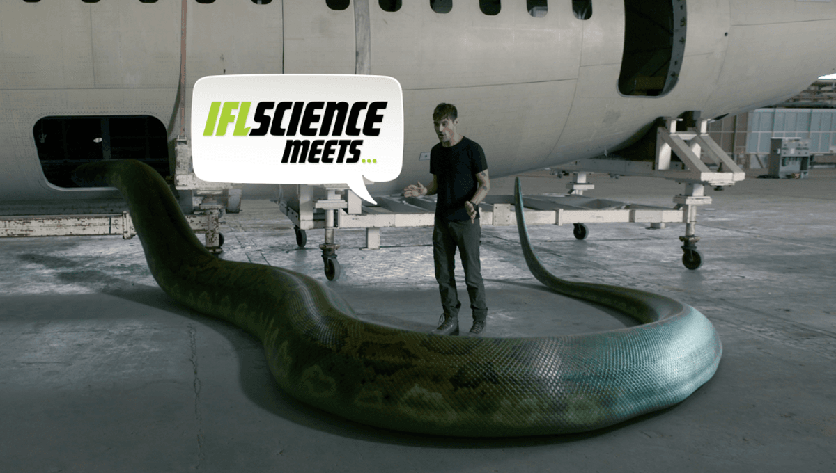 IFLScience Meets Wildlife Filmmaker And Field Biologist Dan O’Neill On