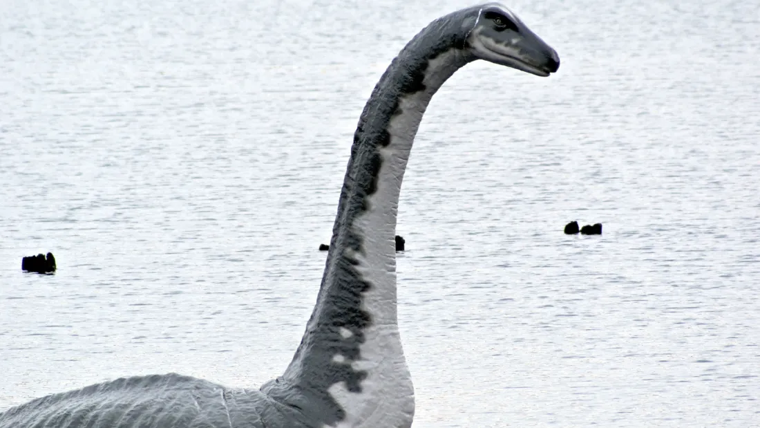 Biggest Loch Ness Monster Search In Half A Century To Begin In August |  IFLScience