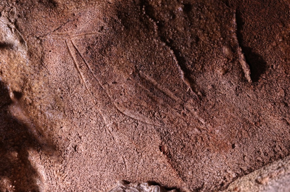 Cova dones red deer engraving