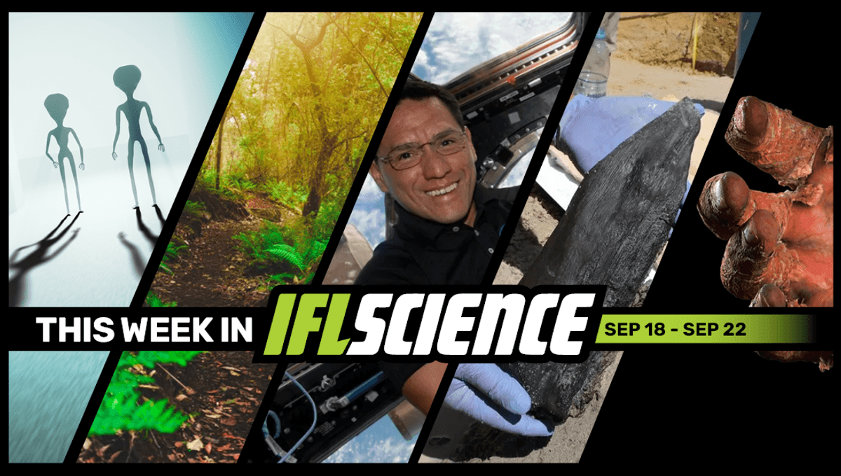 Claims That The Alien Mummies Were Alive And Filled With Eggs Frank