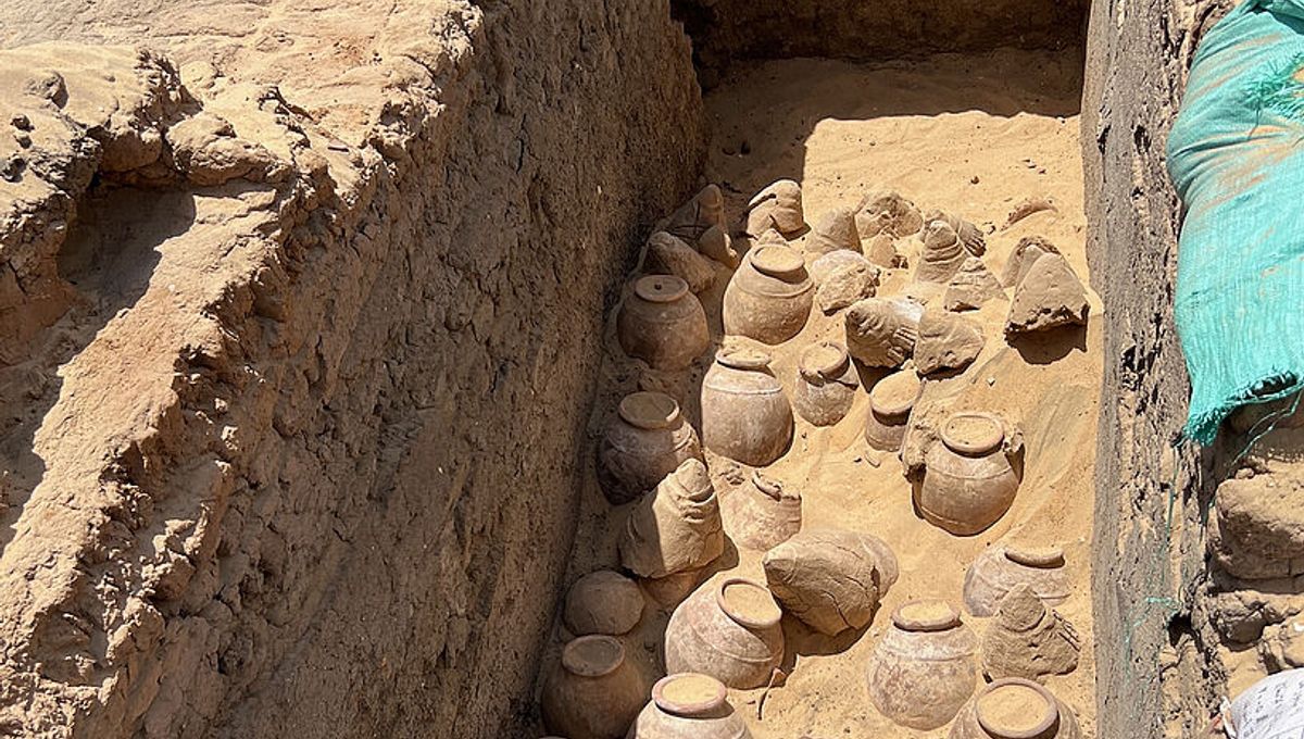 5,000-Year-Old Wine Discovered In Egyptian Queen's Tomb | IFLScience