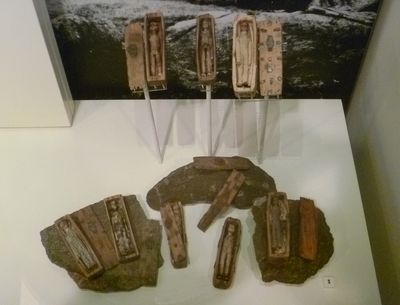 Seven of the miniature coffins containing small wooden figures (95mm in length) found in a cave on Arthur's Seat.