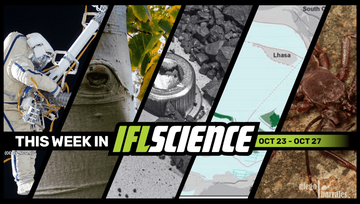 Cosmonauts Find Growing Blob Outside ISS, New AcidSpraying Giant