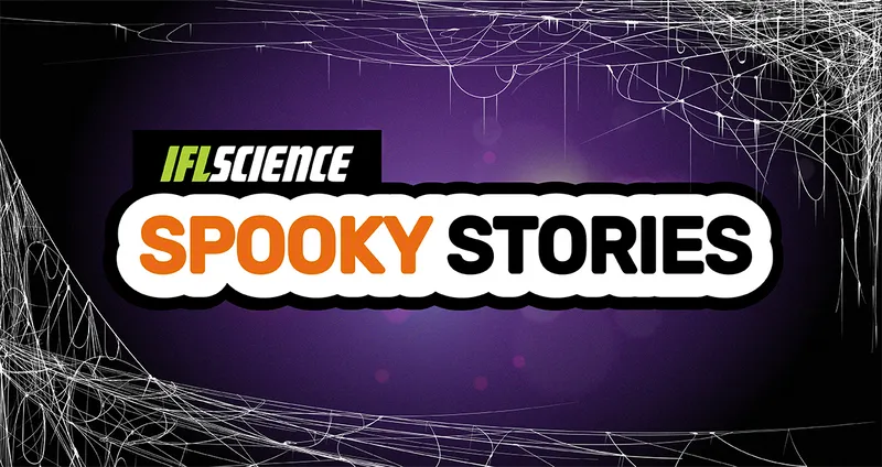 Get Halloween-ready with this spooky roundup.