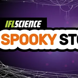 Get Halloween-ready with this spooky roundup.
