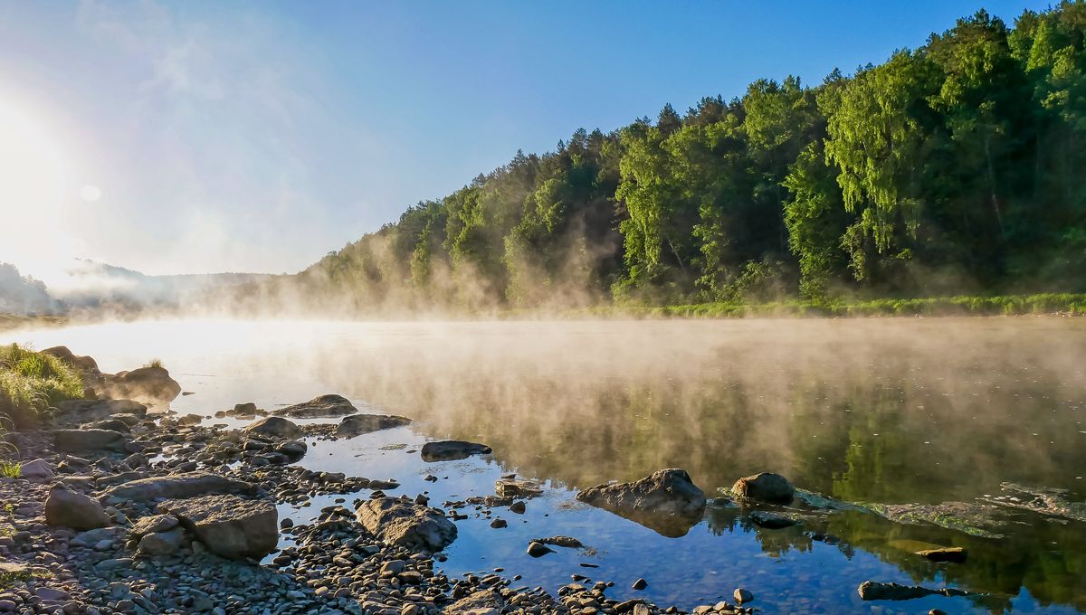 In a surprising finding, light can make water evaporate without heat