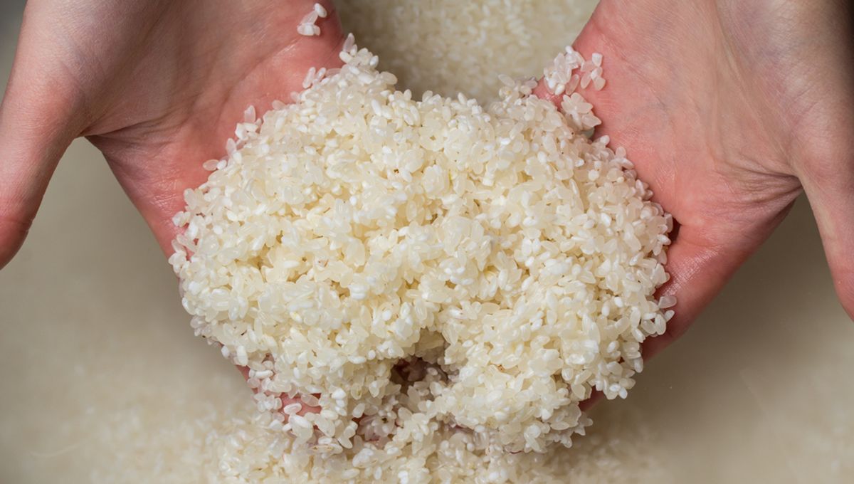 Do You Need To Wash Rice Before Cooking? Here’s The Science IFLScience