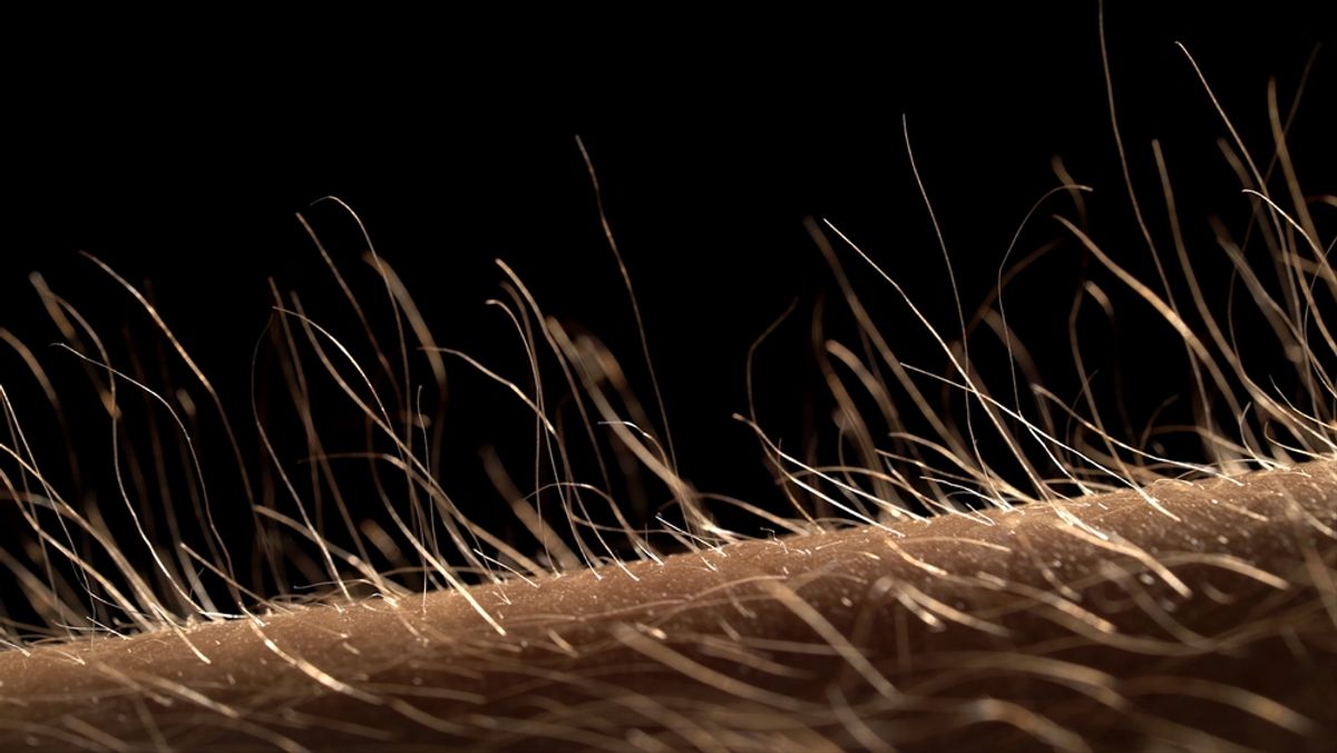 Some People Can Control Their Goosebumps‚ Which Is Strange and Cool