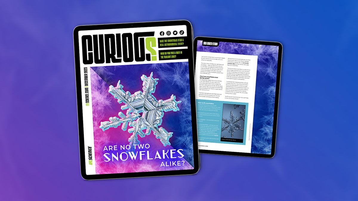 Are No Two Snowflakes Alike? Find Out More In Issue 17 Of CURIOUS – Out Now