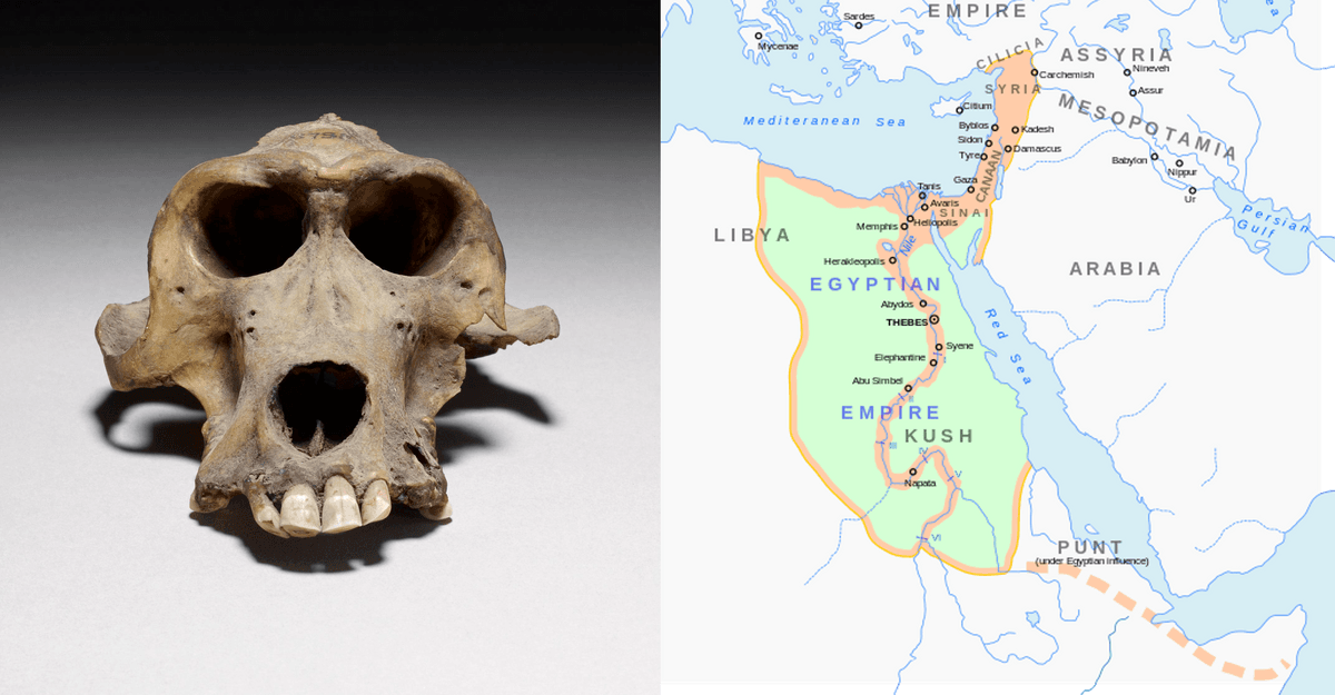 Location Of Mysterious Ancient Egyptian Port Not On Any Maps Revealed By Unlikely Source