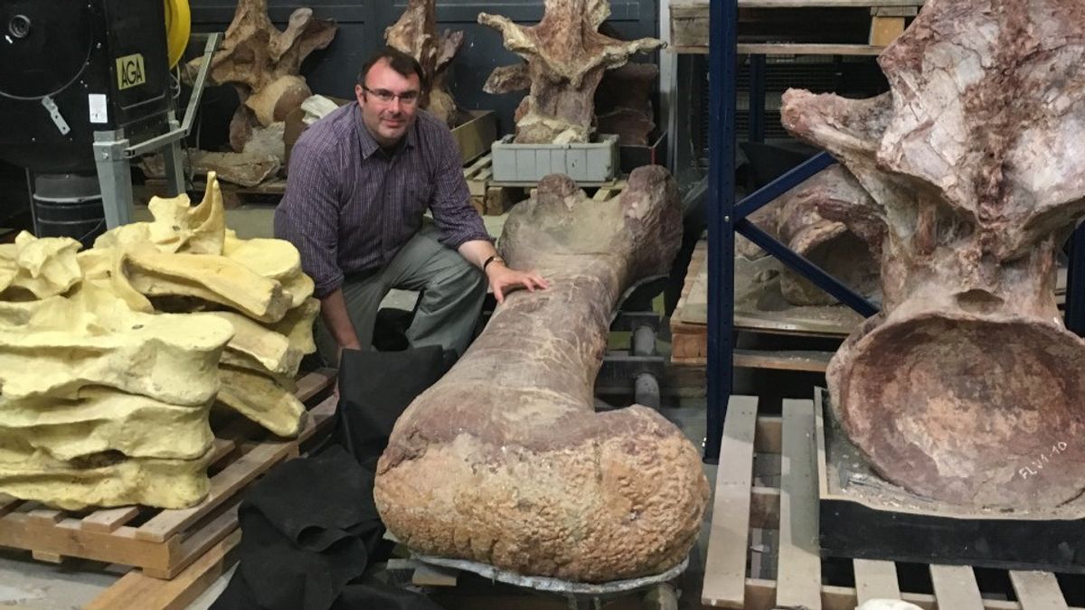 What Was The Lifespan Of A Dinosaur?