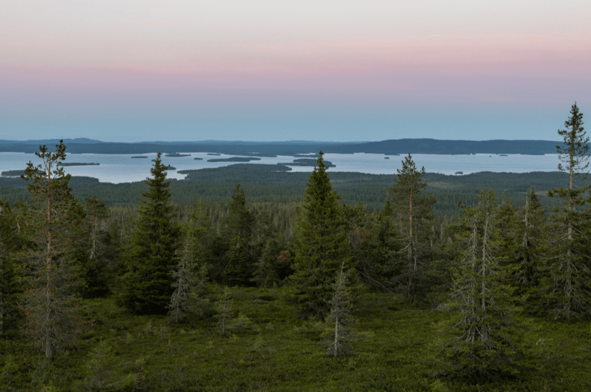 Huge Stone Age Cemetery In Lapland Deepens Story Of Prehistoric Humans