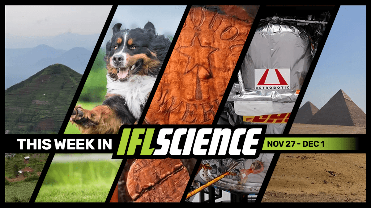 This 25‚000-Year-Old “Pyramid” Was Likely Not Built By Humans‚ Life-Extending Drug For Big Dogs Gets Closer To FDA Approval‚ And Much More This Week