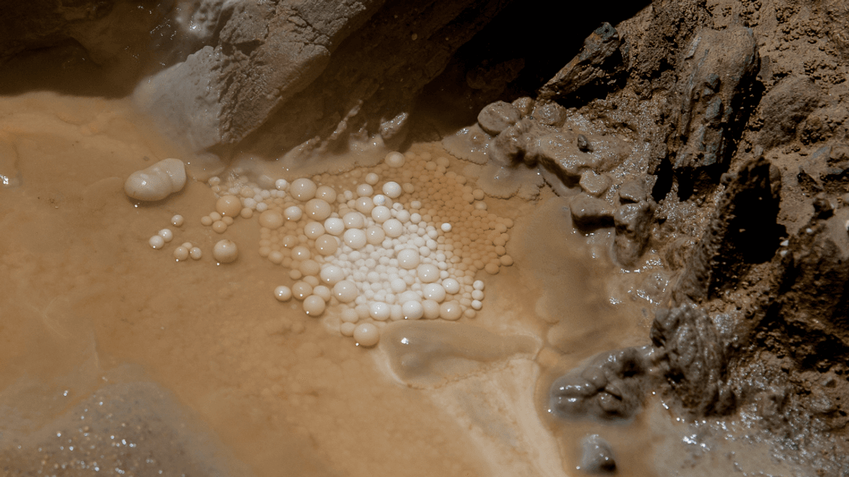 What Are Cave Pearls And Which Caves Can You Find Them In?