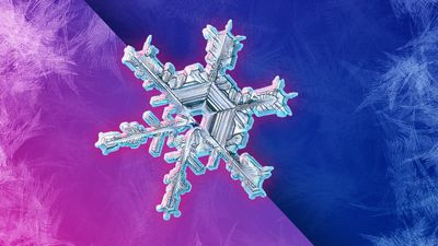 Are No Two Snowflakes Alike?