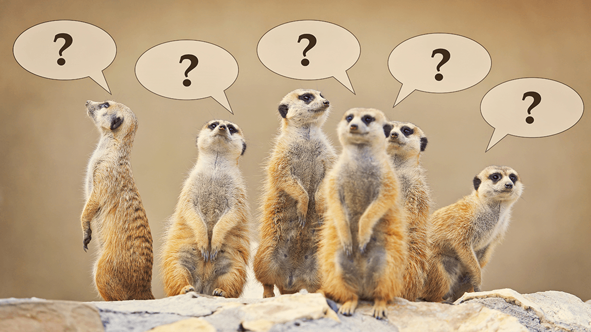 Endangered‚ Near Threatened‚ Or Extinct&quest; What's The Difference&quest;