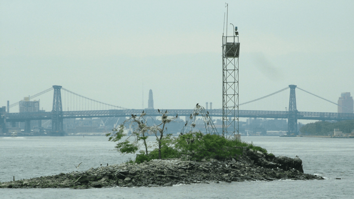 U Thant Island&colon; Why Nobody Can Visit New York's Smallest Island