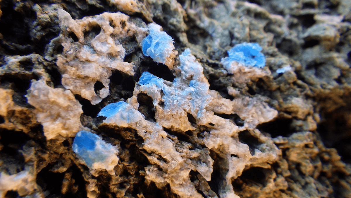 Oh Great‚ Plastic Rocks Are Now A Thing