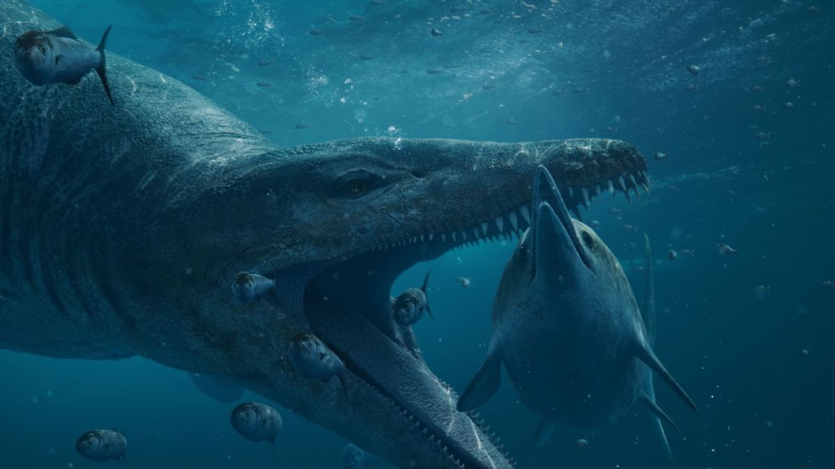 Pliosaur Skull Dating Back 150 Million Years May Be A New-To-Science Species