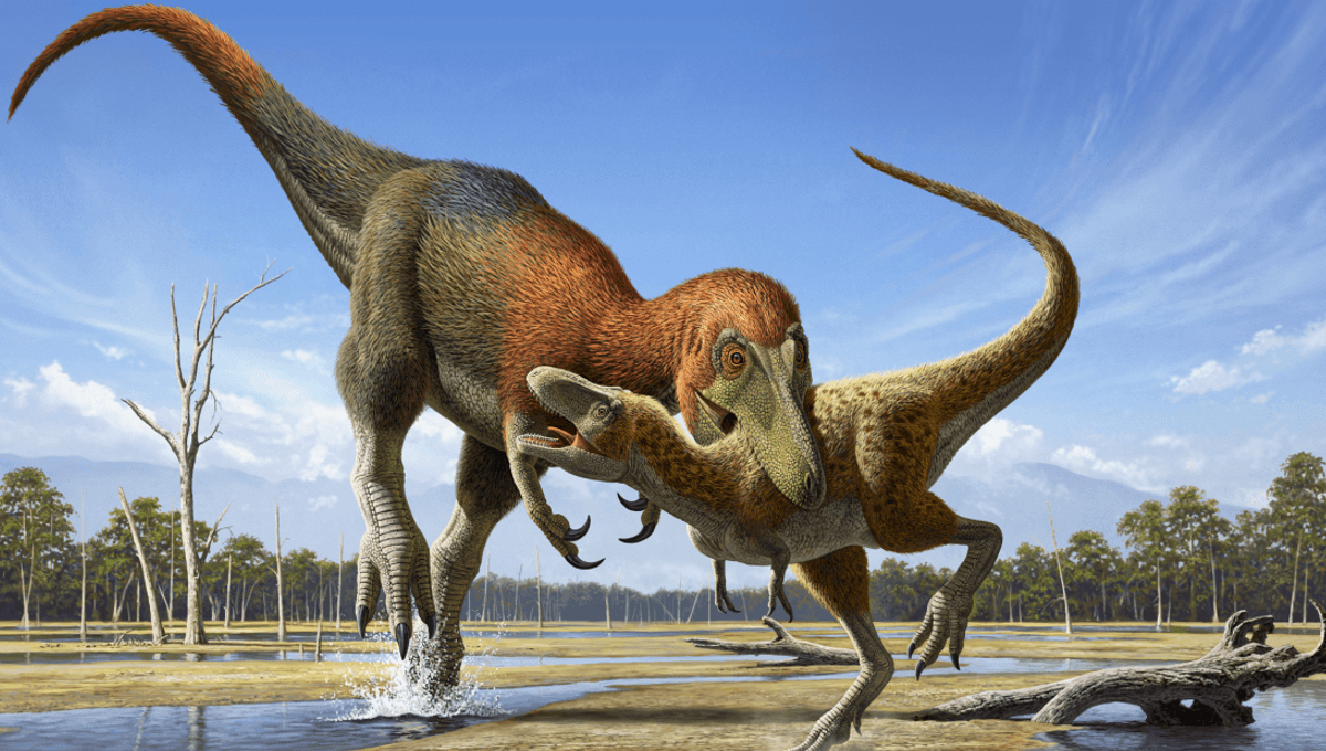 Nanotyrannus Vs Juvenile T. Rex: Is The Decades-Long Debate On "Teenage" Tyrannosaurs Over? - Vimarsana News