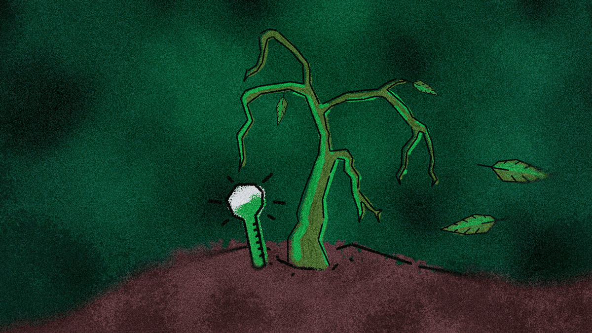 Can Plants Get Cancer?