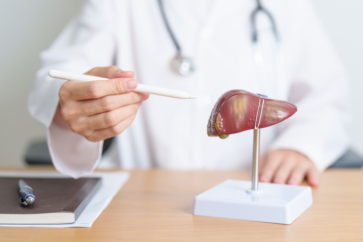 Newly-Identified Mechanism Could Be Used To Treat Fatty Liver Disease