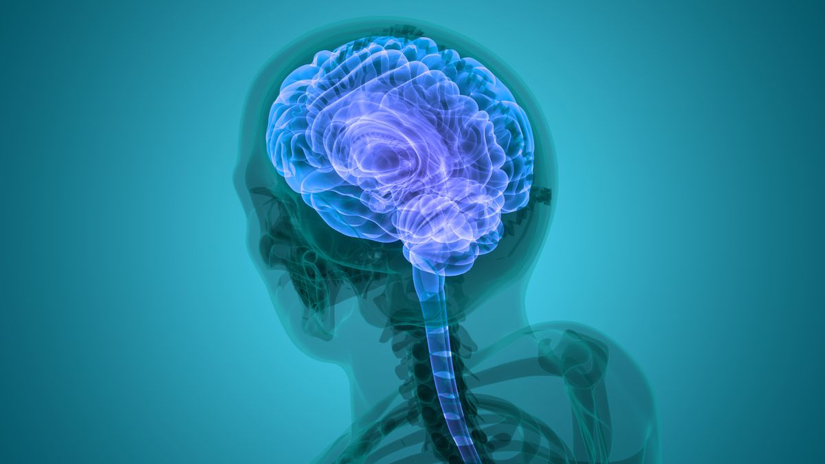 Alzheimer’s Disease Has At Least Five Variants‚ Possibly Explaining Treatment Failures