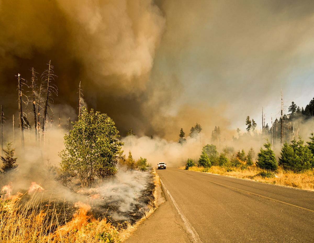 2023 Was Likely To Have Been Earth's Hottest Year In Over 100‚000 Years