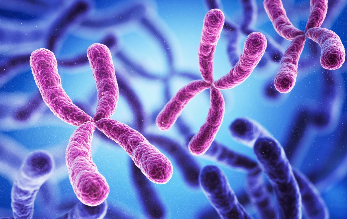 First Prehistoric Person With Missing X Chromosomes Identified From Ancient DNA
