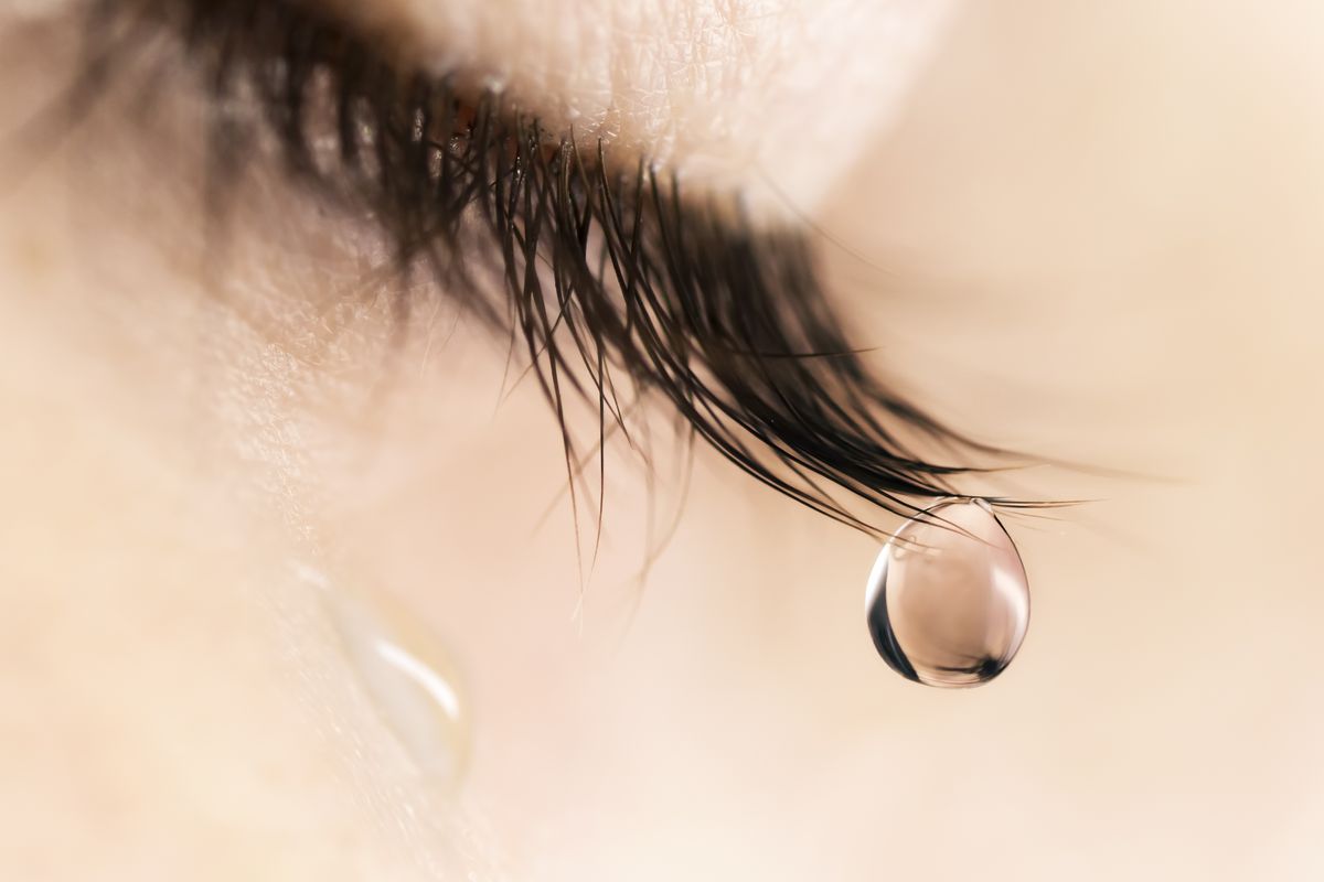 First Model Eye Membrane Makes Human 